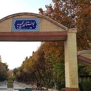قالیشویی در مجیدیه جنوبی