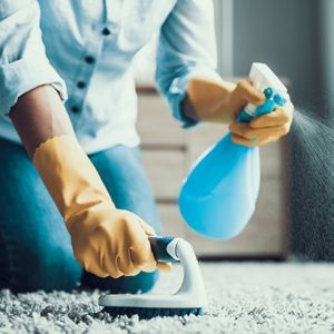  کی از شامپو فرش استفاده کنیم؟ 
