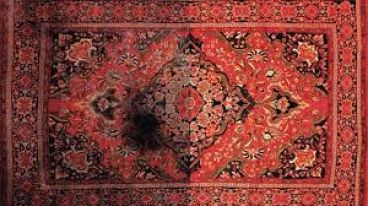  روش های جلوگیری از پوسیدگی فرش!